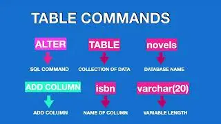 How to create a Table in MySQL Workbench