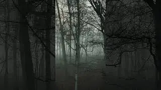 Familiar to anyone? What do you see? #from #creepy #queserasera #fyp #tvshows #backrooms #viral