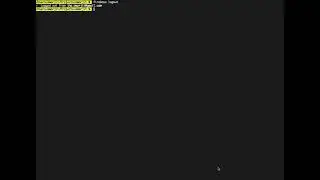 Firestore, Functions, Hosting & Emulator setup in a React project