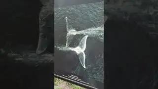 Выставка у парка в г. Мелитополь 