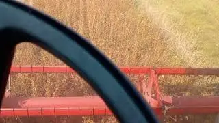Перший день молотіння сої//