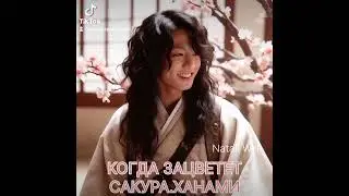 КОГДА ЗАЦВЕТЕТ САКУРА.ХАНАМИ Natali Well 