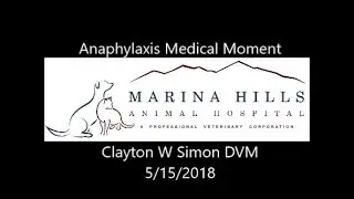 Anaphylaxis in Dogs and Cats