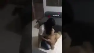 I miss u sooooo much Mom.. #short #youtubeshorts #pets #petlover #animals #shorts #pet #doglover