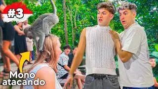 LOS MONOS ATACAN a la GENTE en BALI