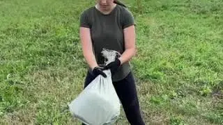 Подборка упражнений