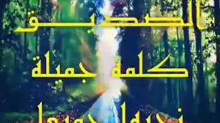 0607508464