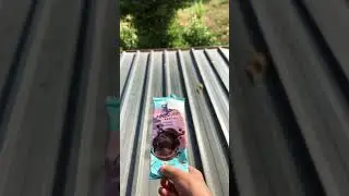 Прости меня мистер бист  @MrBeast  #shorts