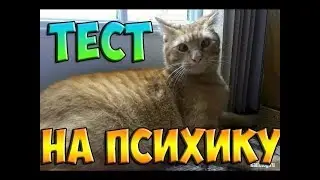 тест на психику часть 2
