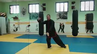 Тайцзицуань   24 формы стиля  Ян.
