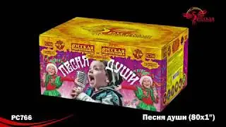 PC766 Песня души (1,0