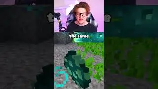 This Is the WORST Minecraft Live Mob Vote?!