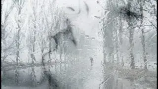 Под шум дождя
