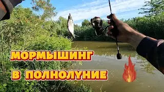 Мормышинг в полнолуние.