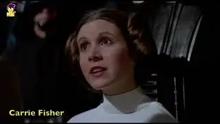 LA FUERZA DE LA SAGA
