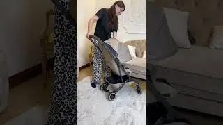 Самая легкая коляска для путешествий