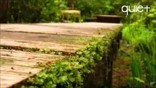 The World is Beautiful - Nature Photography