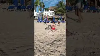 Así se ve Playa del Carmen desde un dron
