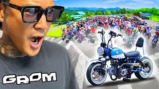 Riding Honda Groms in the Mountains