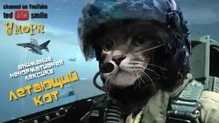 САМЫЕ ЛУЧШИЕ ПРИКОЛЫ С КОТАМИ ЛЕТАЮЩИЙ КОТ внимание ненормативная лексика