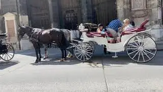 Vienna Streets - Walking from Brandstätte to Stephansplatz