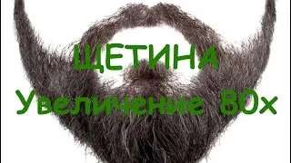 ЖЕСТЬ! Так выглядит сбритая  щетина | Macro | Увеличение 80х