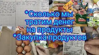 Сколько мы тратим денег на продукты , закупка продуктов, семейный бюджет