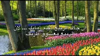 أغنية إن جاك الربيع من المالوف التونسي مع الكلمات