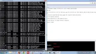 Server Root