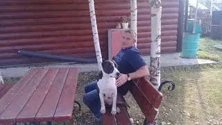 Художник Игорь Бирюков