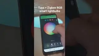 Zigbee + Tuya smart RGB lightbulbs