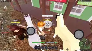 The Wild West