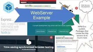 (2/2) NPM List of Development web Server: WebServer Example