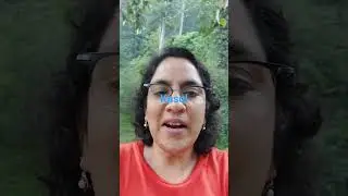 Kasol, Himachal Pradesh