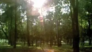 Drake Bell - Mexico Short Film