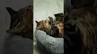 🤣🤣🤣🤣🤣