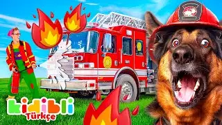 Çocuklar İçin Köpekler Derlemesi | İtfaiyeciler Çocuklar İçin Eğitici Videolar | Kidibli