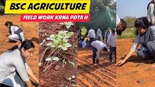 BSc Agriculture Course | BSc Agriculture Student Life | SoA University