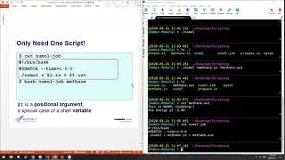 ACENET Basics: Introduction to Shell Scripting