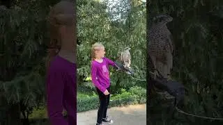 Дочь и ястреб.