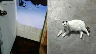 Photos That Will Confuse Your Eyes