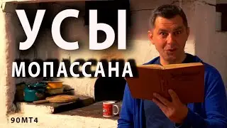 Усики. Усы. Усищи. Мопассан