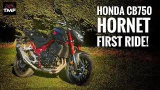 Is it worth the hype? - First Real World Review