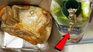 10 DISGUSTING THINGS THAT COME OUT OF FRUIT JUICE