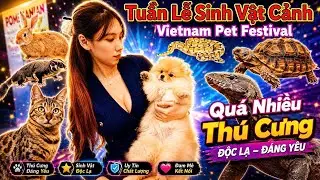 Tham Quan Tuần Lễ Sinh Vật Cảnh 2024 | Visit Vietnam Pet Festival 2024 | Betta Sales