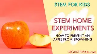Prevent Apples From Browning Experiment | Science for Kids | STEM for Kids
