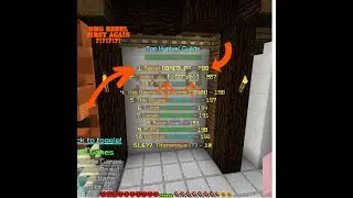 Checking In On Hypixel In 2022 ... is it dying?