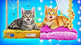 Мы спасли бездомного котенка! Лайфхаки для владельцев животных