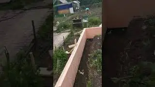 17 июня 2023 г.