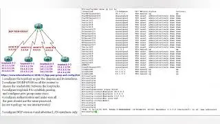 What is BGP Peer Group? | How to configure BGP Peer Group?